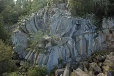 La rosa.webp