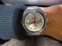 P1020703.webp