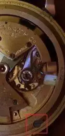 detalle tornillo 344.webp