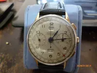 P1020580.webp
