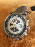 IMG_0243 (640x480).webp