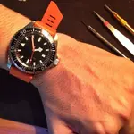10494647_10153028475984619_6566612314348725222_n.webp
