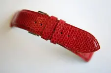 lagarto-rojo-35-es-visuel.webp lagarto-rojo-35-es-visuel.webp