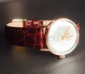 Festina 1.webp