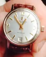 Festina 8.webp