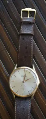 CYMA_1.webp