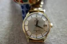DSC00493.webp