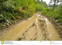 image-3250778326.webp