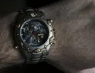 Lotus Titanio 1.webp