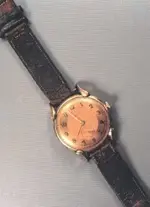 Edox.webp