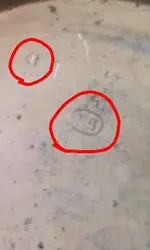 Snapchat-7998071945717104703.webp Snapchat-7998071945717104703.webp