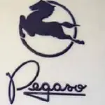220px-Pegaaso_Enasa.webp