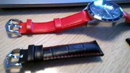 WP_20150123_010[1].webp
