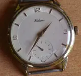 halcon1.webp halcon1.webp