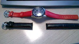 WP_20150123_009[1].webp