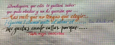 16206690720_14c1e6ffe4-inicio.webp