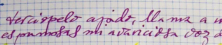_MG_2806-magenta-ok.webp
