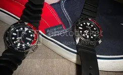 DSCN5604.webp