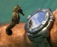 reloj caballito.webp