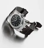 15300ORG_ PhoroshopSS1.webp