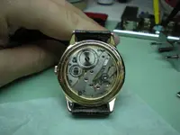 dscn5019x.webp