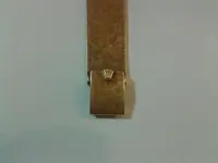 2z4wivd.webp