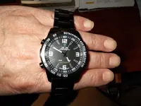 Weide_03.webp