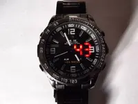 Weide_08.webp