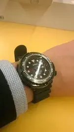 tuna golgo.webp