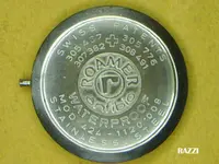 roamer fondo.webp