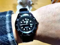 Shark Army.webp