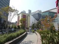mx10.webp
