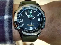 Weide.webp