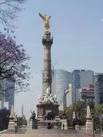 mx15.webp