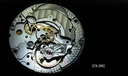 image.webp