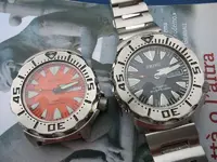 np9v[1].webp