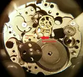 image.webp