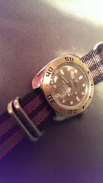 IMAG2887.webp IMAG2887.webp