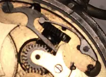 image.webp