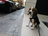 altAjjL6XAZKHxyQrJ3urKVmEnjbTX_fCL4Hin_lqx69LZ7.webp