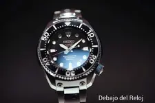seiko6.webp