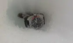 20150307_141507.webp
