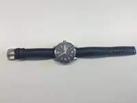 Hirsch azul 1.webp