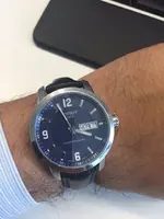 Hirsch azul 2.webp