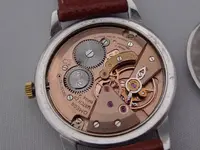 OMEGA FERN GM 4.webp