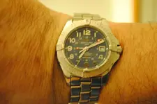 colt1.webp