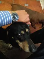 2015-03-27 13.20.13.webp