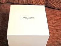 Longi.webp