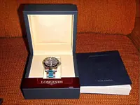 Longi2.webp