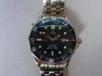 P1100880.webp
